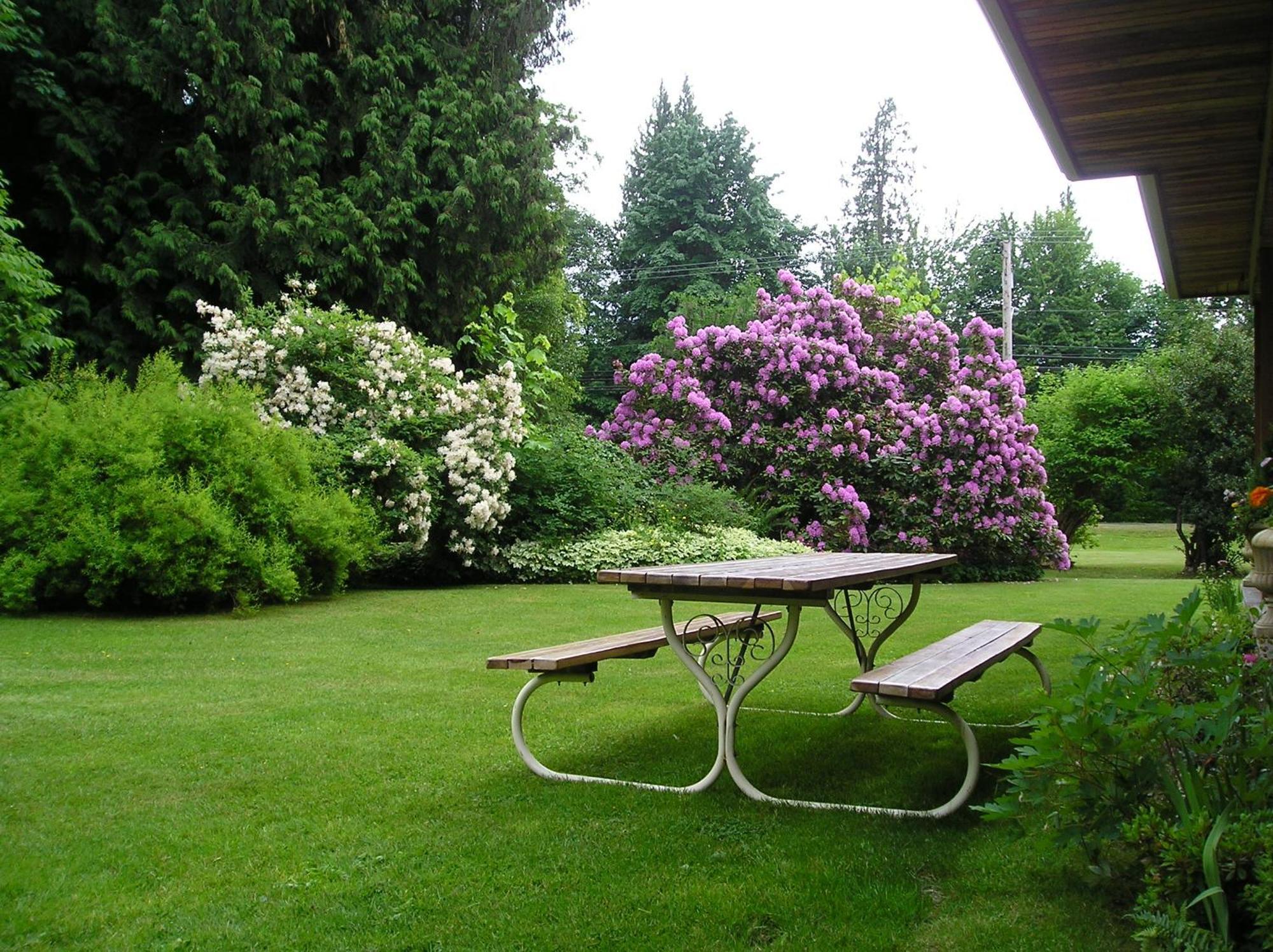 Cedar Wood Lodge Bed & Breakfast Inn Port Alberni Kültér fotó