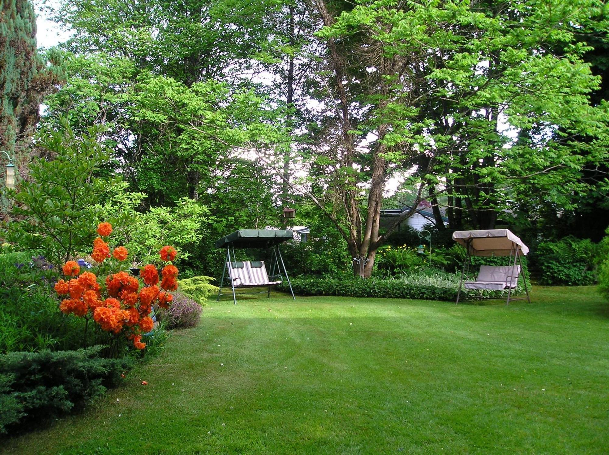 Cedar Wood Lodge Bed & Breakfast Inn Port Alberni Kültér fotó